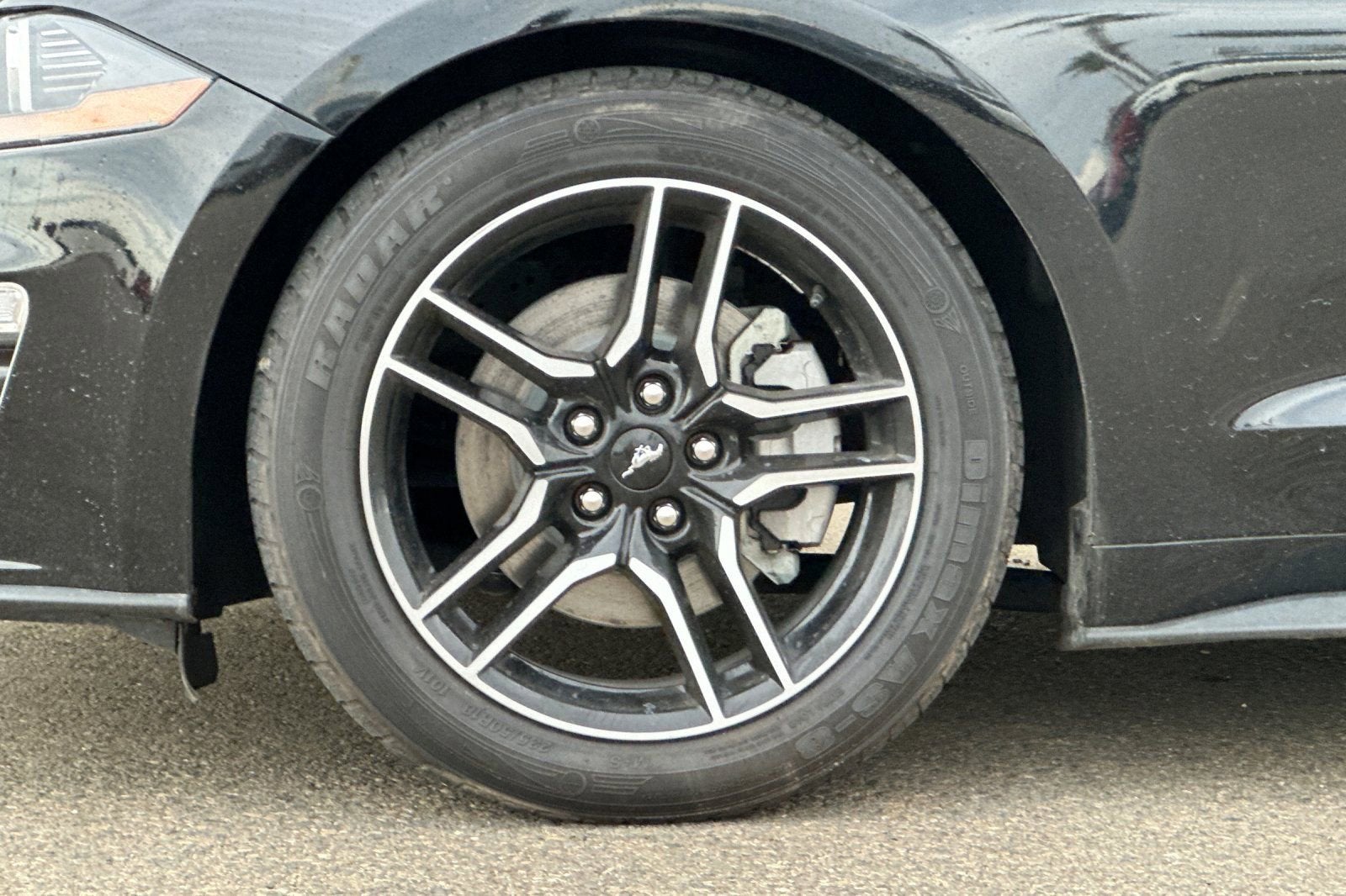 2023 Ford Mustang EcoBoost