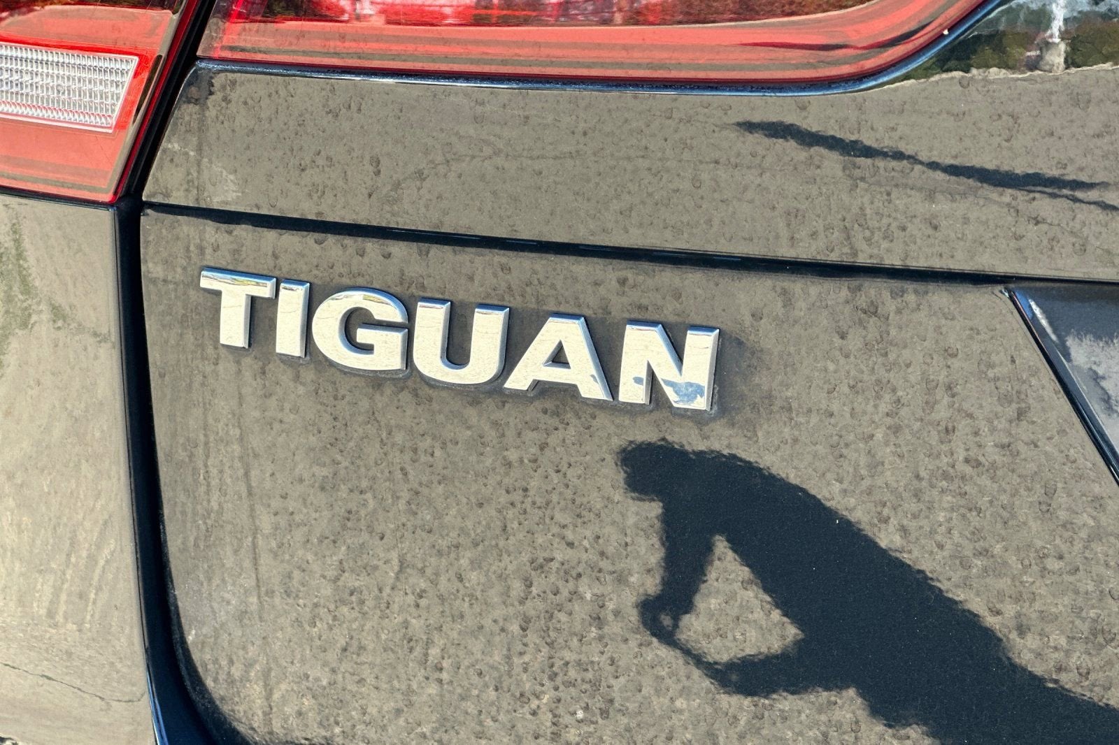 2020 Volkswagen Tiguan S