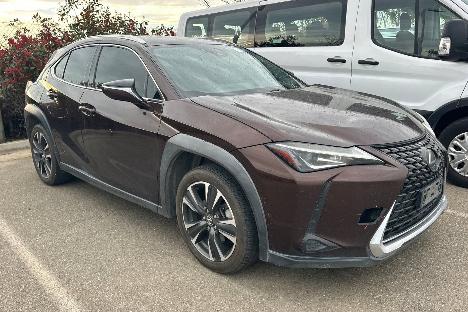 2019 Lexus UX UX 200