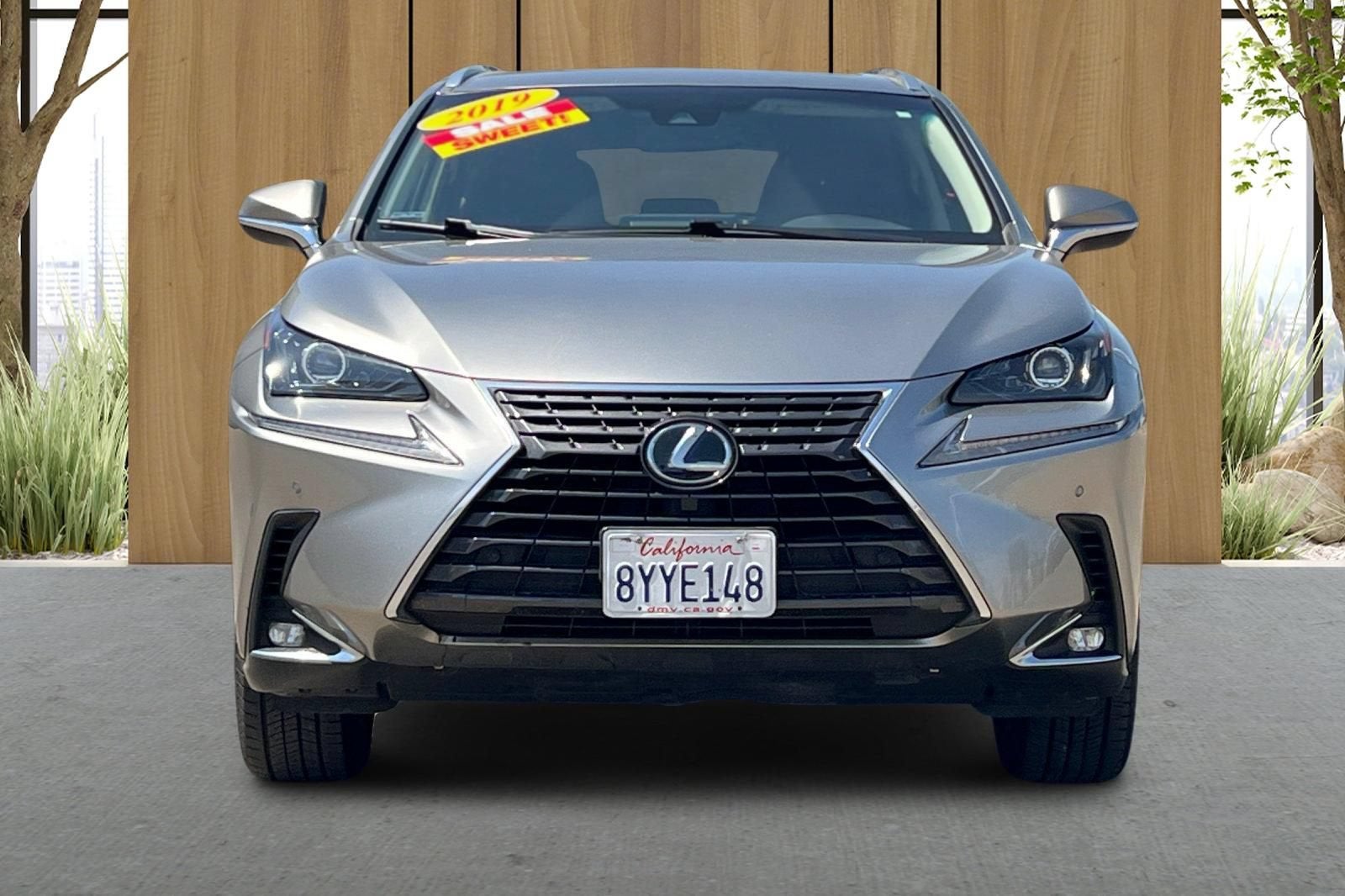 2019 Lexus NX NX 300h